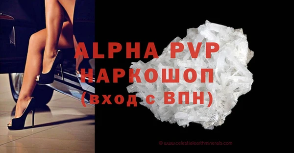 гидра Богданович
