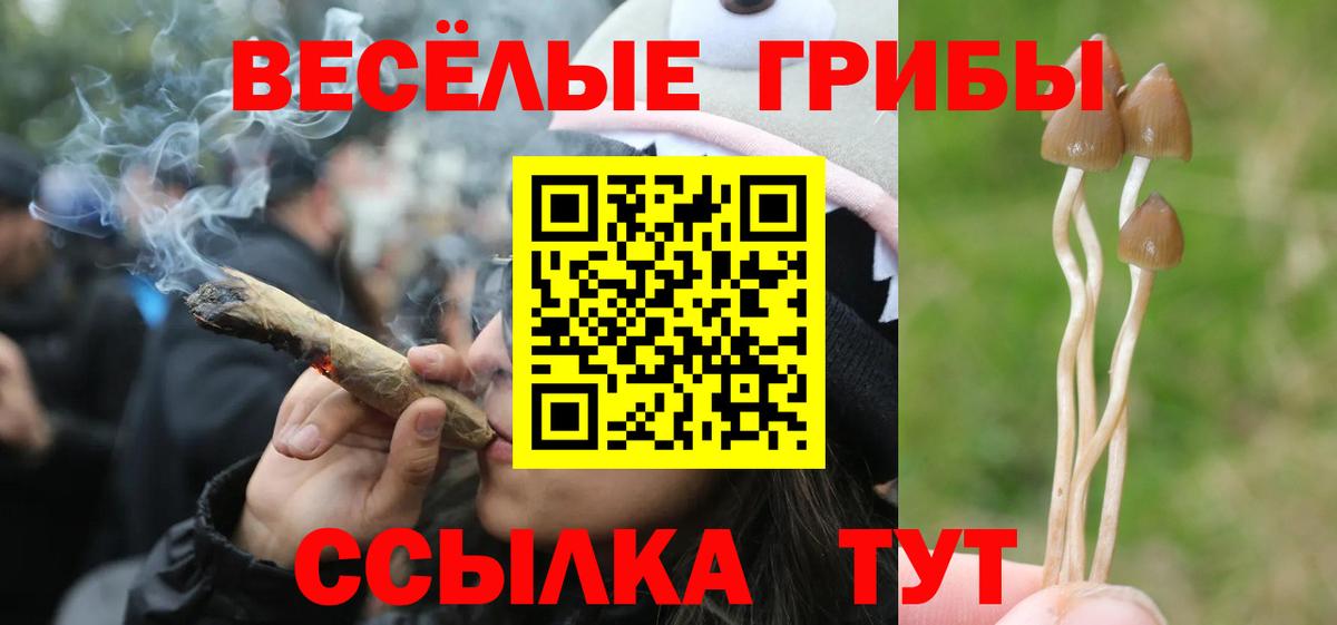Псилоцибиновые грибы GOLDEN TEACHER Балаково
