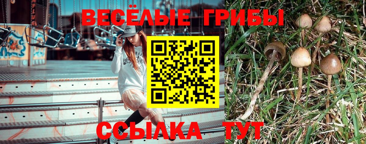Галлюциногенные грибы MAGIC MUSHROOMS  Вход с VPN  Балаково 